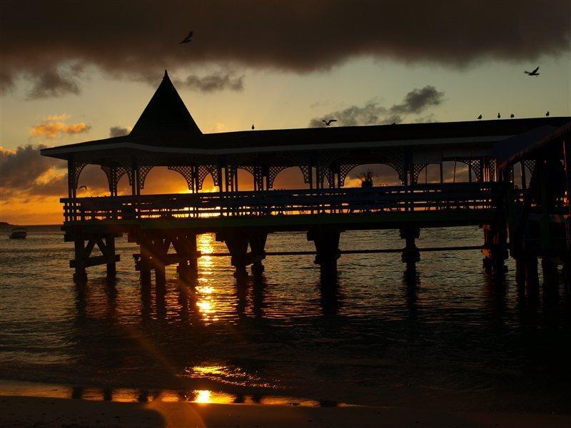 Starfish Halcyon Cove Hotel Dickenson Bay Luaran gambar